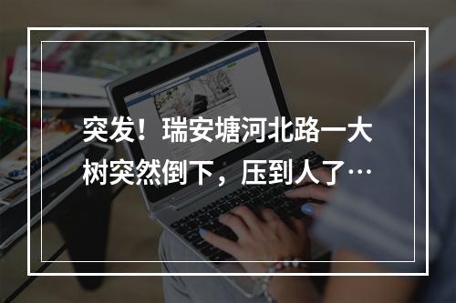 突发！瑞安塘河北路一大树突然倒下，压到人了…