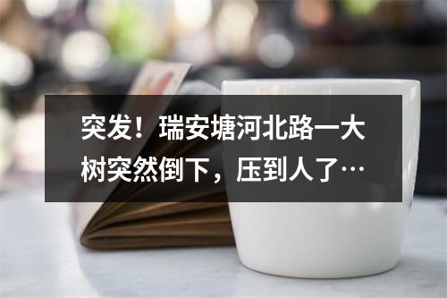 突发！瑞安塘河北路一大树突然倒下，压到人了…