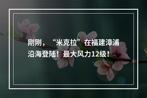 刚刚，“米克拉”在福建漳浦沿海登陆！最大风力12级！