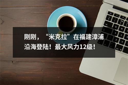 刚刚，“米克拉”在福建漳浦沿海登陆！最大风力12级！
