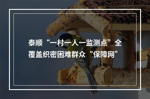 泰顺“一村一人一监测点”全覆盖织密困难群众“保障网”