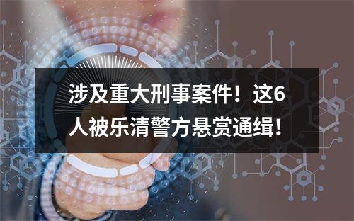 涉及重大刑事案件！这6人被乐清警方悬赏通缉！