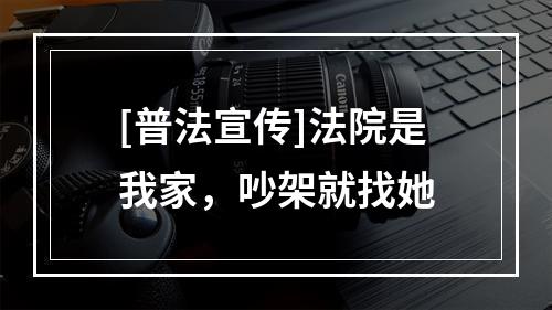 [普法宣传]法院是我家，吵架就找她