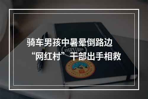骑车男孩中暑晕倒路边 “网红村”干部出手相救