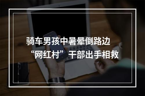 骑车男孩中暑晕倒路边 “网红村”干部出手相救