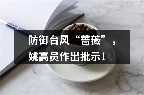 防御台风“蔷薇”，姚高员作出批示！