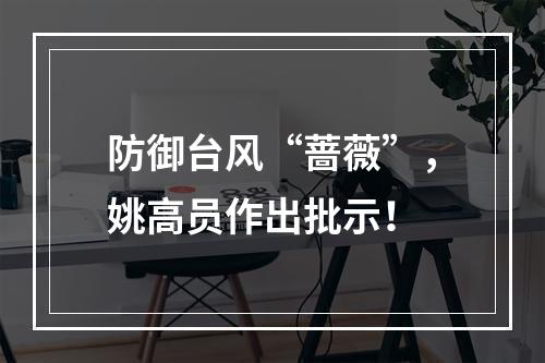 防御台风“蔷薇”，姚高员作出批示！