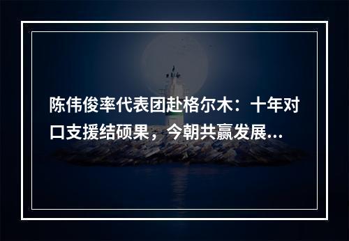 陈伟俊率代表团赴格尔木：十年对口支援结硕果，今朝共赢发展谱新篇