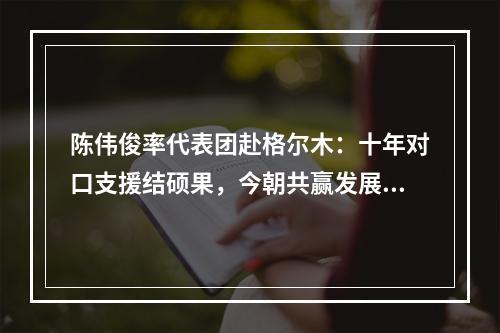 陈伟俊率代表团赴格尔木：十年对口支援结硕果，今朝共赢发展谱新篇