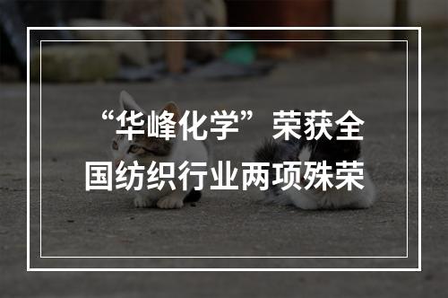 “华峰化学”荣获全国纺织行业两项殊荣