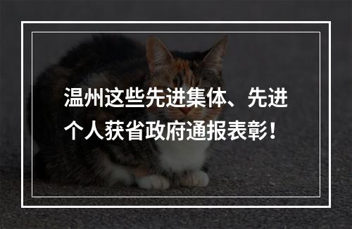 温州这些先进集体、先进个人获省政府通报表彰！