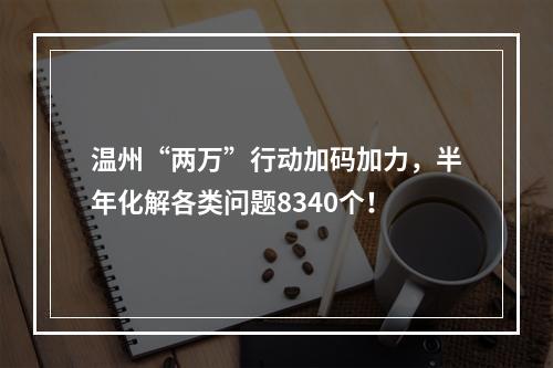 温州“两万”行动加码加力，半年化解各类问题8340个！
