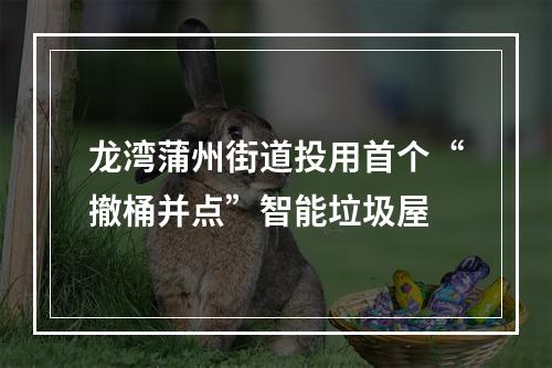 龙湾蒲州街道投用首个“撤桶并点”智能垃圾屋