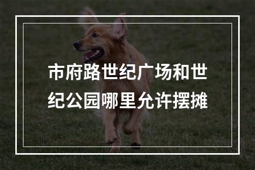 市府路世纪广场和世纪公园哪里允许摆摊