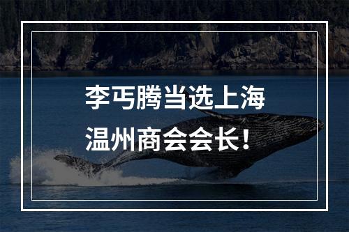 李丐腾当选上海温州商会会长！