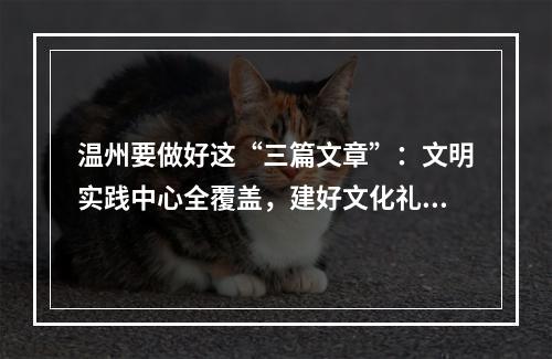 温州要做好这“三篇文章”：文明实践中心全覆盖，建好文化礼堂484家，讲好 ...