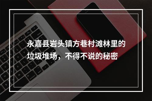 永嘉县岩头镇方巷村滩林里的垃圾堆场，不得不说的秘密