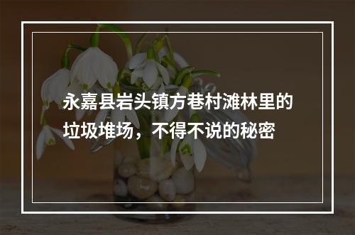 永嘉县岩头镇方巷村滩林里的垃圾堆场，不得不说的秘密