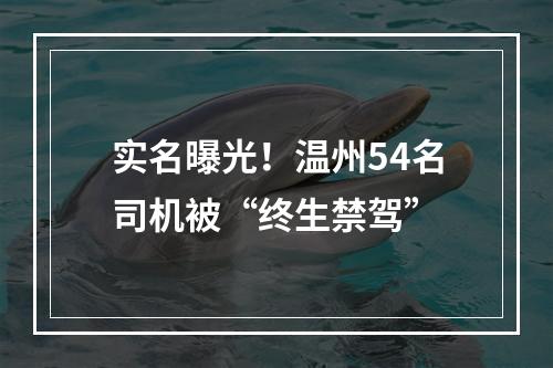 实名曝光！温州54名司机被“终生禁驾”