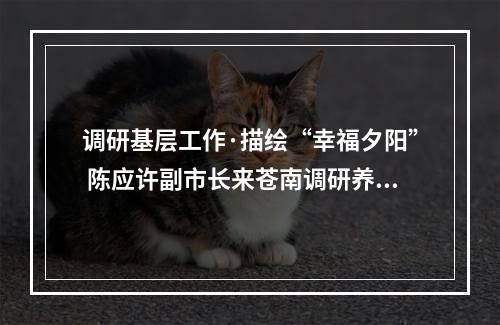 调研基层工作·描绘“幸福夕阳” 陈应许副市长来苍南调研养老工作