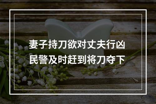 妻子持刀欲对丈夫行凶 民警及时赶到将刀夺下