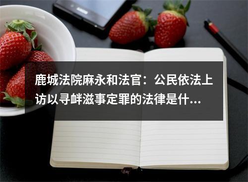 鹿城法院麻永和法官：公民依法上访以寻衅滋事定罪的法律是什么？