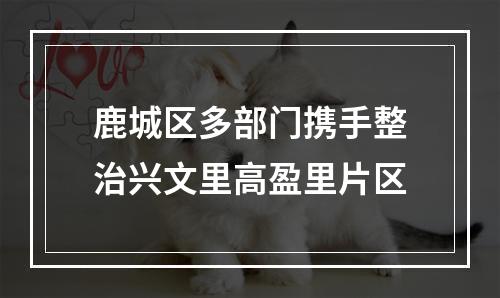 鹿城区多部门携手整治兴文里高盈里片区