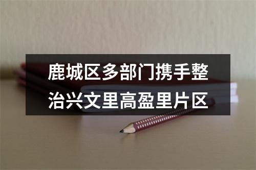 鹿城区多部门携手整治兴文里高盈里片区