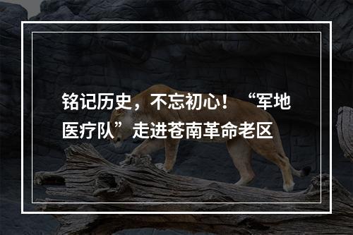 铭记历史，不忘初心！“军地医疗队”走进苍南革命老区