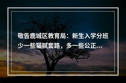 敬告鹿城区教育局：新生入学分班少一些猫腻套路，多一些公正公平