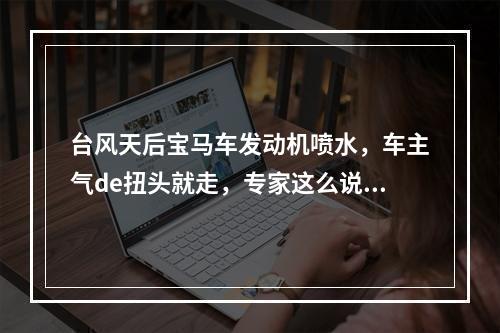 台风天后宝马车发动机喷水，车主气de扭头就走，专家这么说，你怎么看？