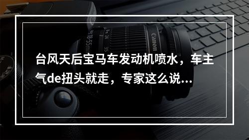 台风天后宝马车发动机喷水，车主气de扭头就走，专家这么说，你怎么看？