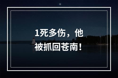 1死多伤，他被抓回苍南！