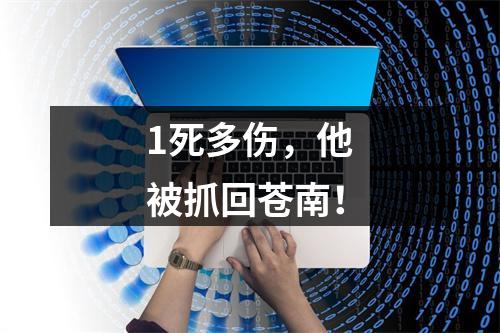 1死多伤，他被抓回苍南！