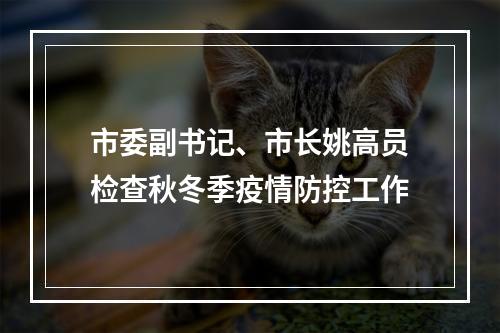 市委副书记、市长姚高员检查秋冬季疫情防控工作