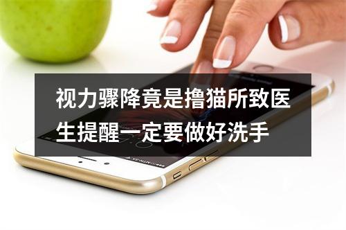 视力骤降竟是撸猫所致医生提醒一定要做好洗手