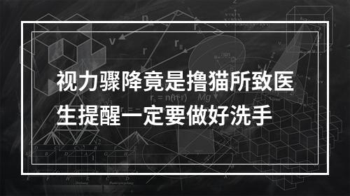 视力骤降竟是撸猫所致医生提醒一定要做好洗手