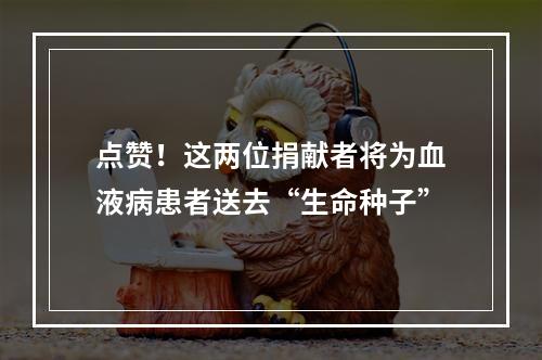 点赞！这两位捐献者将为血液病患者送去“生命种子”