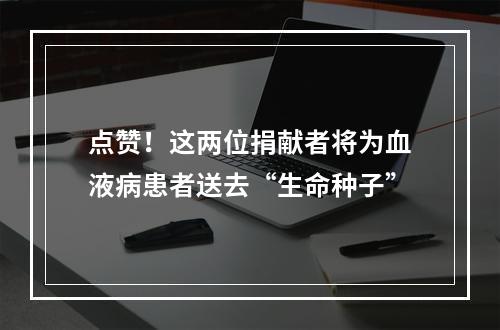点赞！这两位捐献者将为血液病患者送去“生命种子”