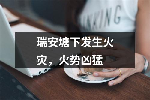 瑞安塘下发生火灾，火势凶猛
