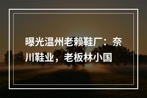 曝光温州老赖鞋厂：奈川鞋业，老板林小国