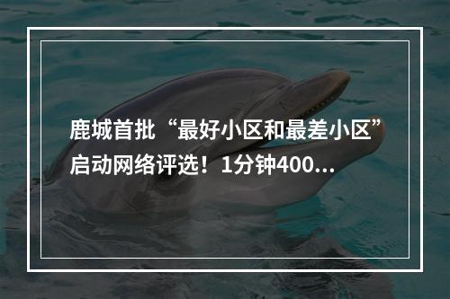 鹿城首批“最好小区和最差小区”启动网络评选！1分钟4000票，刷票太假！
