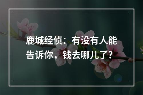 鹿城经侦：有没有人能告诉你，钱去哪儿了？