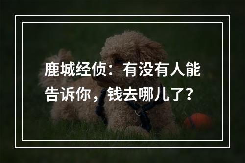 鹿城经侦：有没有人能告诉你，钱去哪儿了？