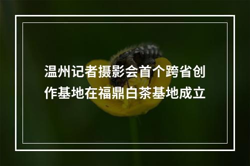 温州记者摄影会首个跨省创作基地在福鼎白茶基地成立