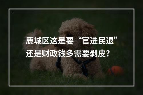 鹿城区这是要“官进民退”还是财政钱多需要剥皮？