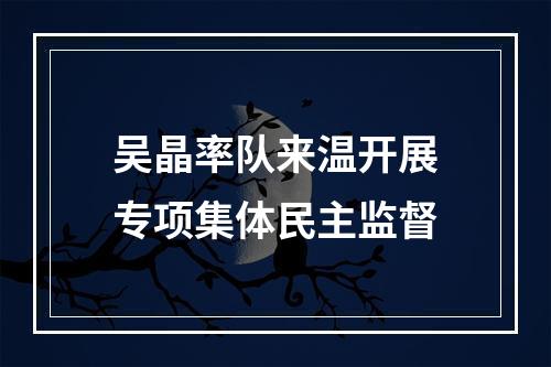 吴晶率队来温开展专项集体民主监督