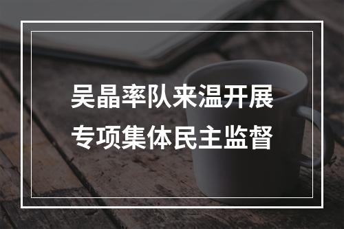 吴晶率队来温开展专项集体民主监督