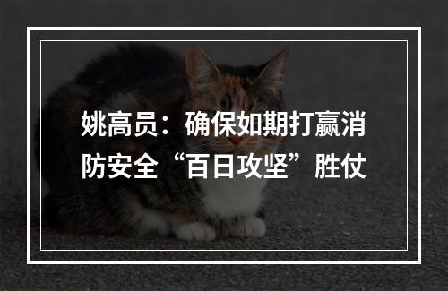姚高员：确保如期打赢消防安全“百日攻坚”胜仗