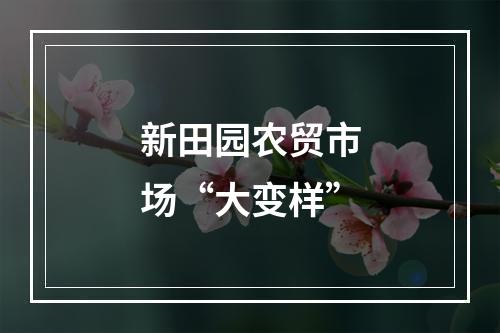 新田园农贸市场“大变样”